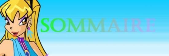 Sommaire