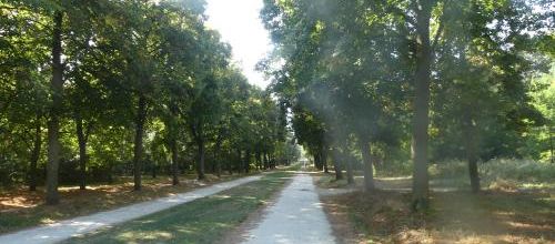 De retour au Bois de Vincennes ce jeudi 2 septembre avec Reglisse et F. 