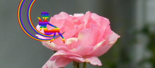 Du mauve, du jaune