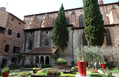 EB - Le cloître Saint-Salvi à Albi...
