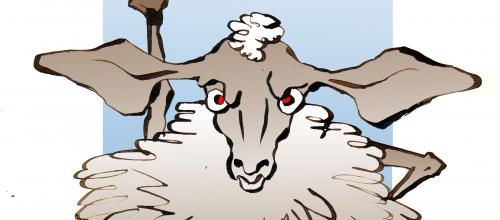 Les éleveurs refusent les puces RFID dans leurs moutons