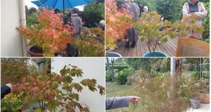 Quand botanique se marie avec tendresse ...
