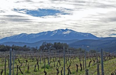 Le Circuit de Pufféré et des Bruères depuis Saint-Martin-de-Fenouillet.