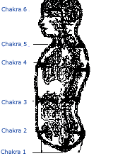 Les chakras