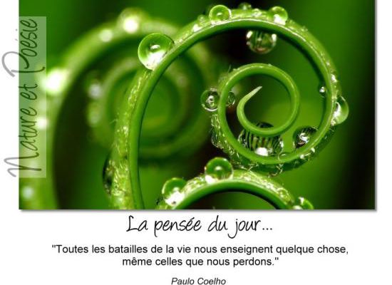 Citations en images : Toutes les batailles de la vie....