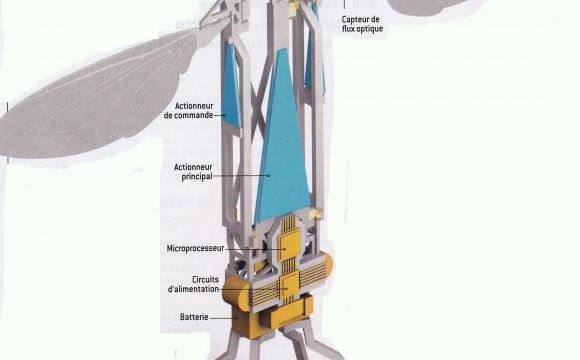 Savez vous ce qu'est "Robotbee", le robot abeille