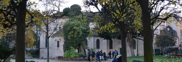L'arbre le plus vieux de Paris (Square René Viviani-Montebello)