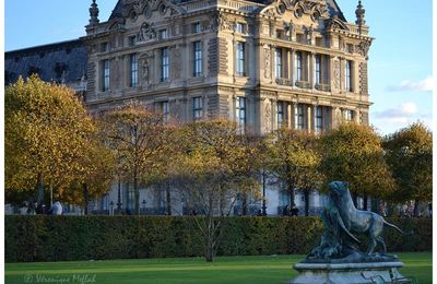 Balade au Jardin des Tuileries
