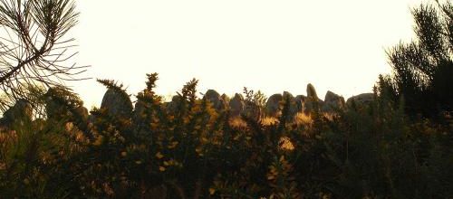 Quand tombe le soir...