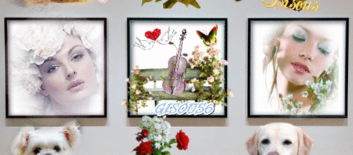 cadres fleurs animaux portrait