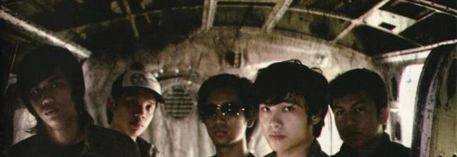 Callalily
