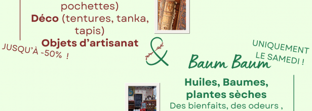 marché de Noêl 30NOV et 1DEC 2024 à Salinelles (salle de yoga)
