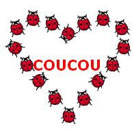 Coléoptère aux élytres rouges...