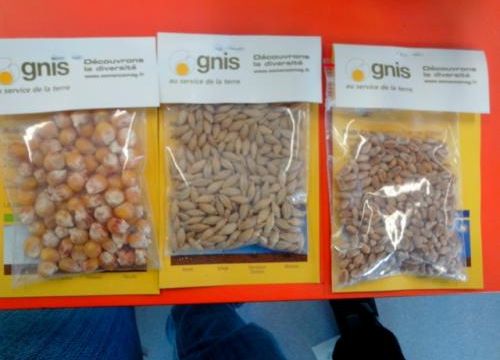 * Réaliser des semis (blé,maïs,orge)