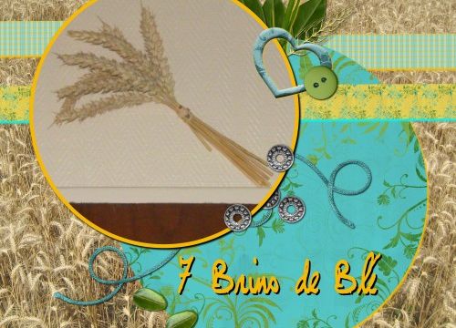 Les 7 Brins de blé