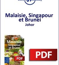 Download Pdf Malaisie, Singapour et Brunei - Johor