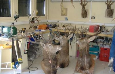 Chez Vincent Espaullard...