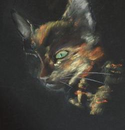 chat