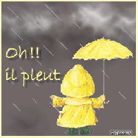 Les ajoncs d'or, un peu de soleil sous la pluie