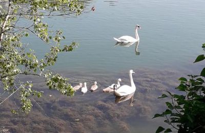 Randonnée sur les bords de Marne