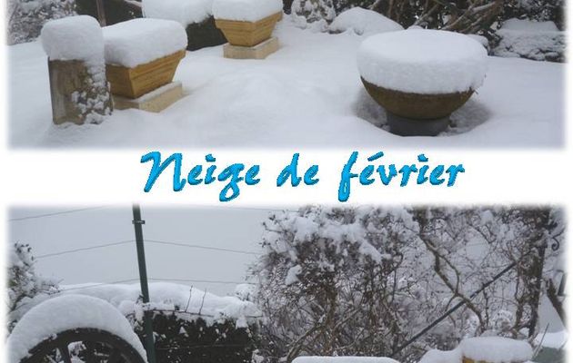 Neige de février