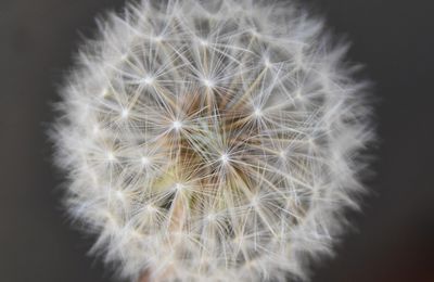 EB - Ce blog a aujourd'hui 16 ans !