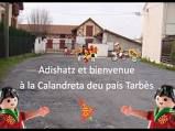 calandretalalobera