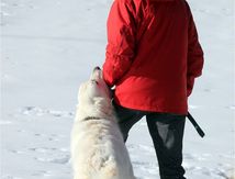 1er Janvier Foux D'Allos #2