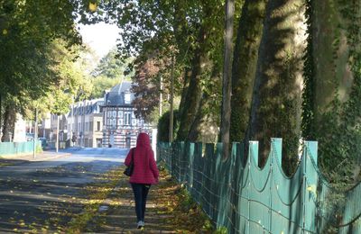 L'automne, ses feuilles, sa chaleur ! 
