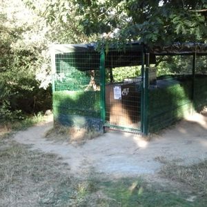 lesamisduchatlibre
