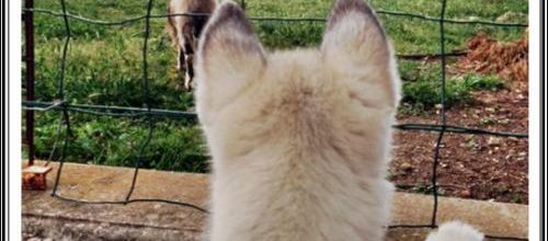 Des rencontres insolites (19 mai 2016)