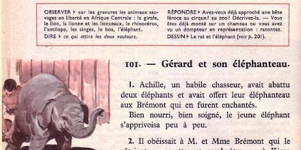 Semaine 26 Grosses bêtes des pays lointains