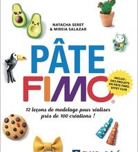 Ebook en pdf à télécharger Pâte fimo  - 12 leçons de modelage pour réaliser près de 100 créations ! DJVU CHM ePub