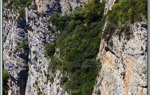 Randonnée au Congost de Mont-Rebei : panorama vertical sur la rivière Noguera Ribagorçana à l'entrée dans le Congost - Aragon/Catalogne - Espagne