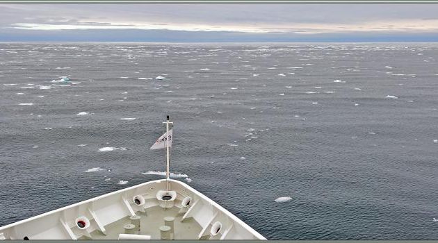 10/07/2024 après-midi : navigation dans la zone des Sjuøyane (Sept îles) à la recherche d'un peu de banquise - Svalbard - Norvège