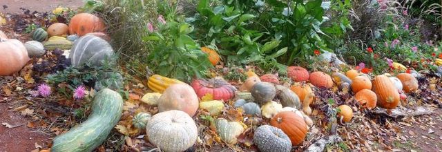 Entrée dans l'automne