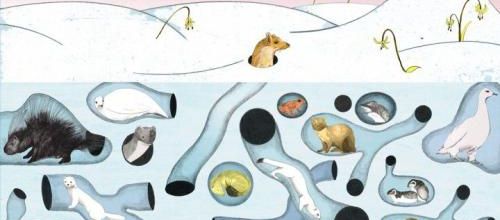 Un écosystème fascinant sous la neige