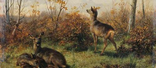 Le syndrome de Bambi et la faune sauvage