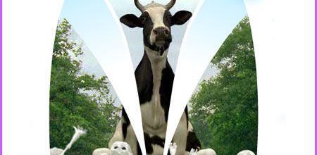 Pub produits laitiers