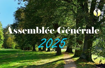 Assemblée Générale 2025