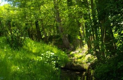 Portrait du ru de Marivel et de sa vallée