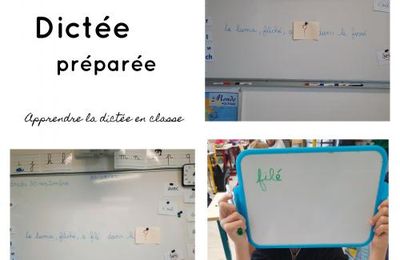Pilotis 2019 : La Dictée préparée 