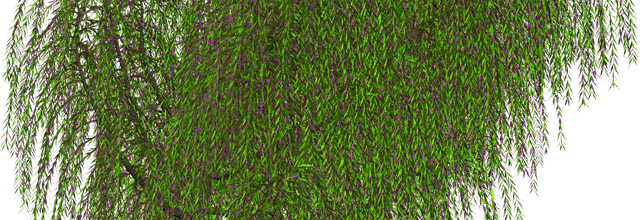 ѼVegetation