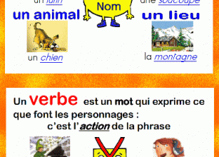 E.D.L - le nom / le verbe/les déterminants