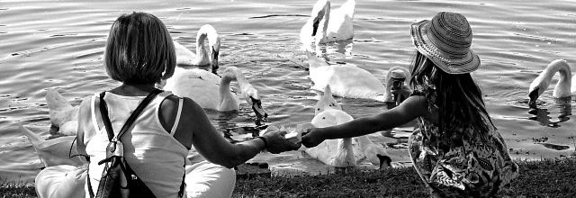 Metz Plage 2011 - L'été en fête dans Metz / 27...