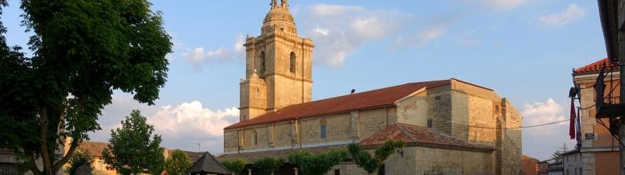 Camino de Madrid ~ J12 Castromonte → Medina de Rioseco