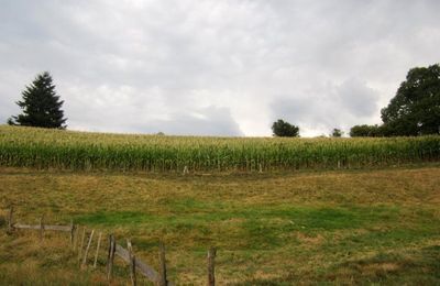 Nuzières dans le Beaujolais..