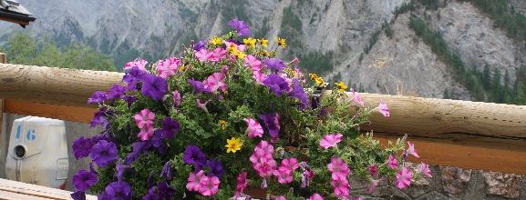 Ma photo préférée du 27 janvier