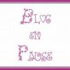 Blog en Pause !