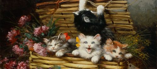 Tableau du samedi : Un panier plein de chats